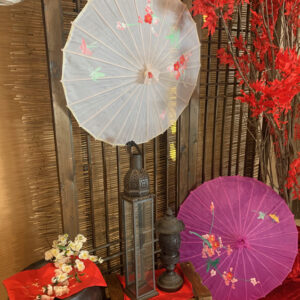Asian Photo Backdrop 2 - Prop For Hire
