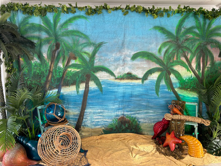 Beach Photo Backdrop - Prop For Hire