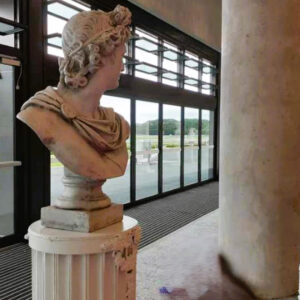 Bust On Plinth 2 - Prop For Hire