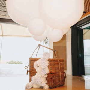 Hot Air Balloon Photo Opp - Prop For Hire