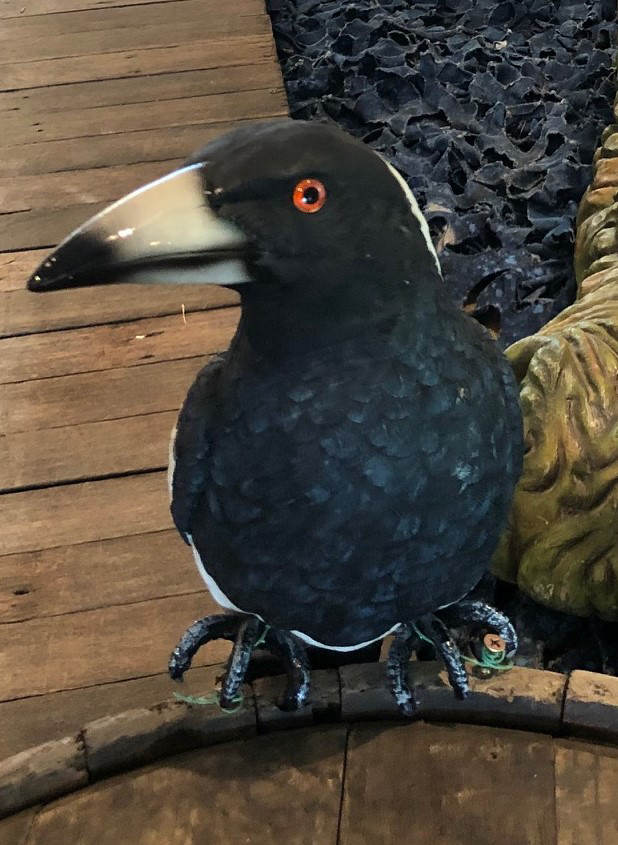 Magpie - Prop For Hire