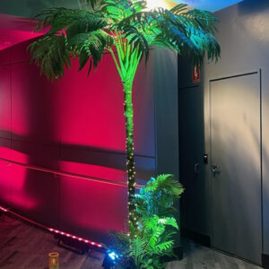 Palm Tree - Prop For Hire
