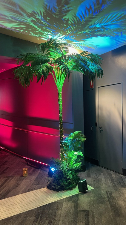 Palm Tree - Prop For Hire