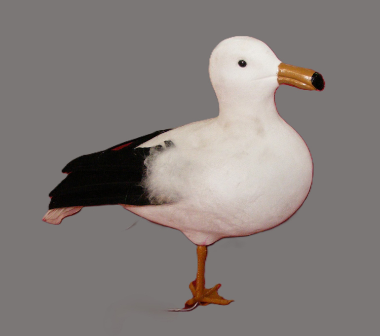 Seagull - Prop For Hire