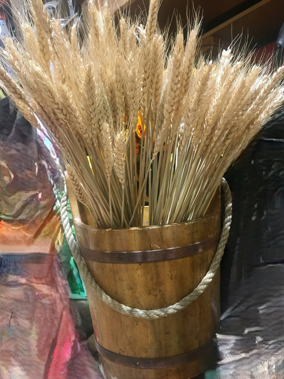 Wheat Bucket - Prop For Hire